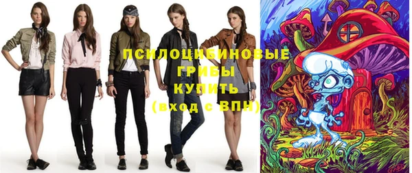 Альфа ПВП Армянск